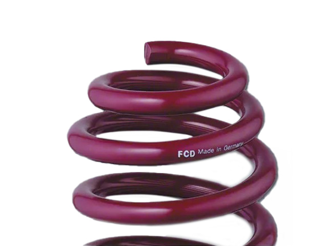 Vogtland Sport Lowering Springs